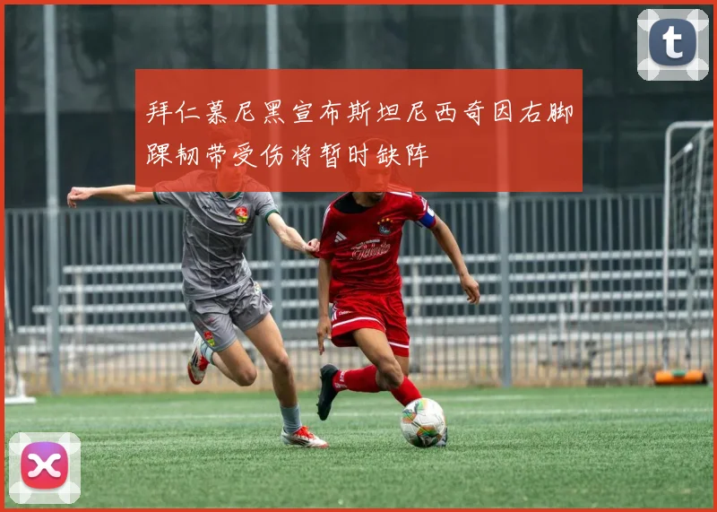 拜仁慕尼黑宣布斯坦尼西奇因右脚踝韧带受伤将暂时缺阵