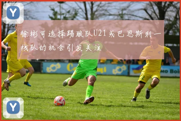 徐彬可选择踢狼队U21或巴恩斯利一线队的机会引发关注