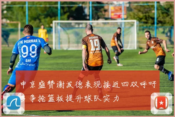 申京盛赞谢泼德表现接近四双呼吁多争抢篮板提升球队实力