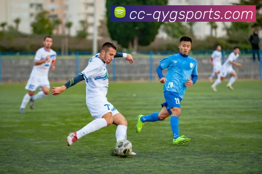 奇异果体育APP 封面图